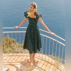 Hill house home daphne dress in gorgeous midnight garden!